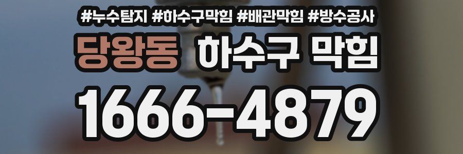 당왕동 하수구 막힘