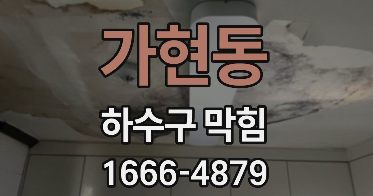 가현동 하수구 막힘