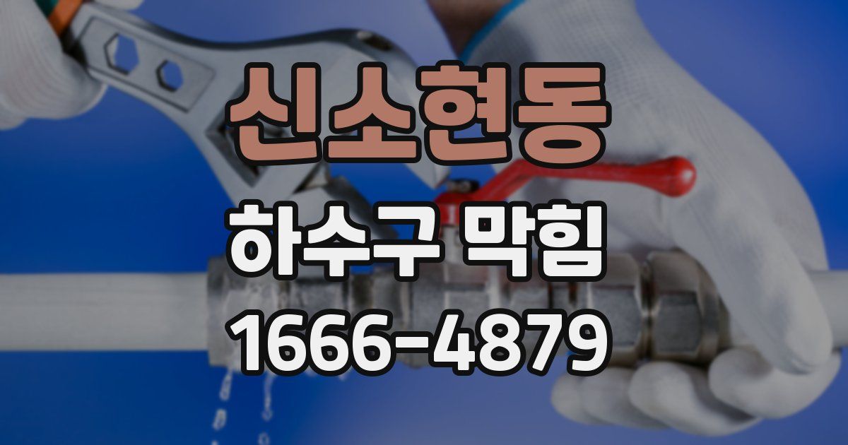 신소현동 하수구 막힘