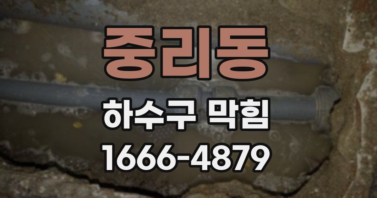 중리동 하수구 막힘