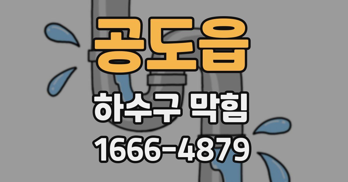 공도읍 하수구 막힘