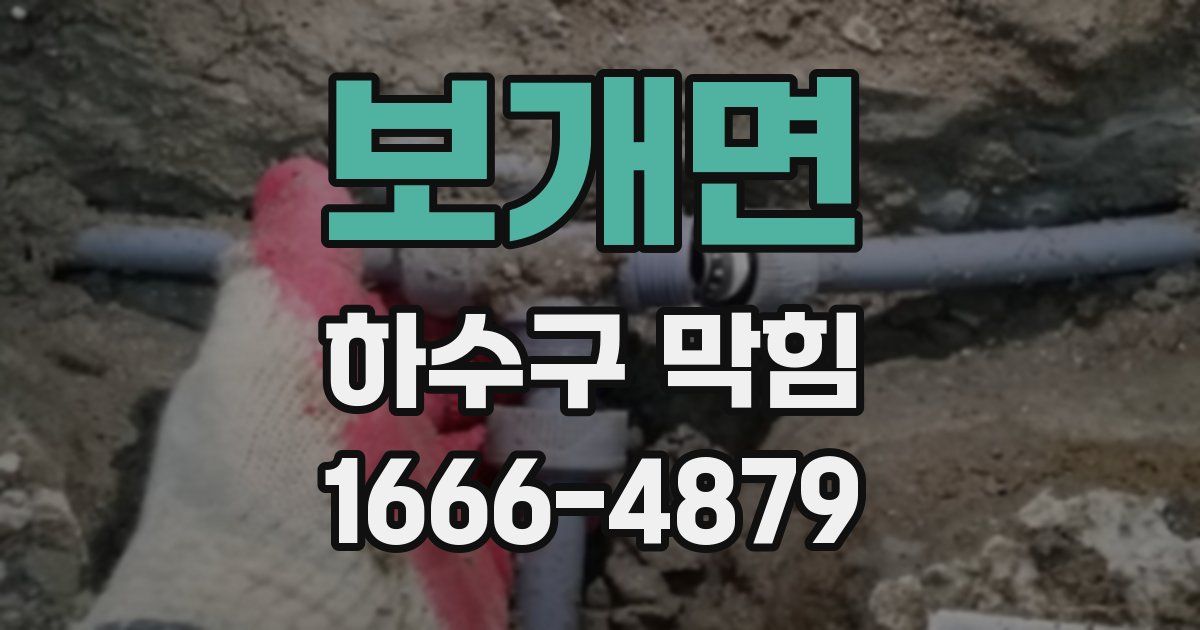 보개면 하수구 막힘