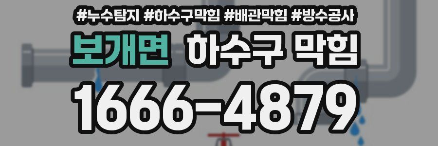 보개면 하수구 막힘