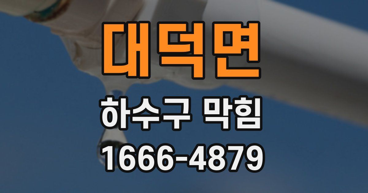 대덕면 하수구 막힘
