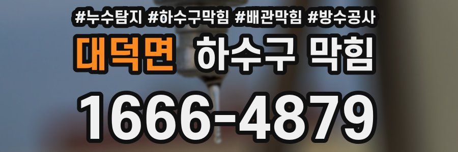 대덕면 하수구 막힘