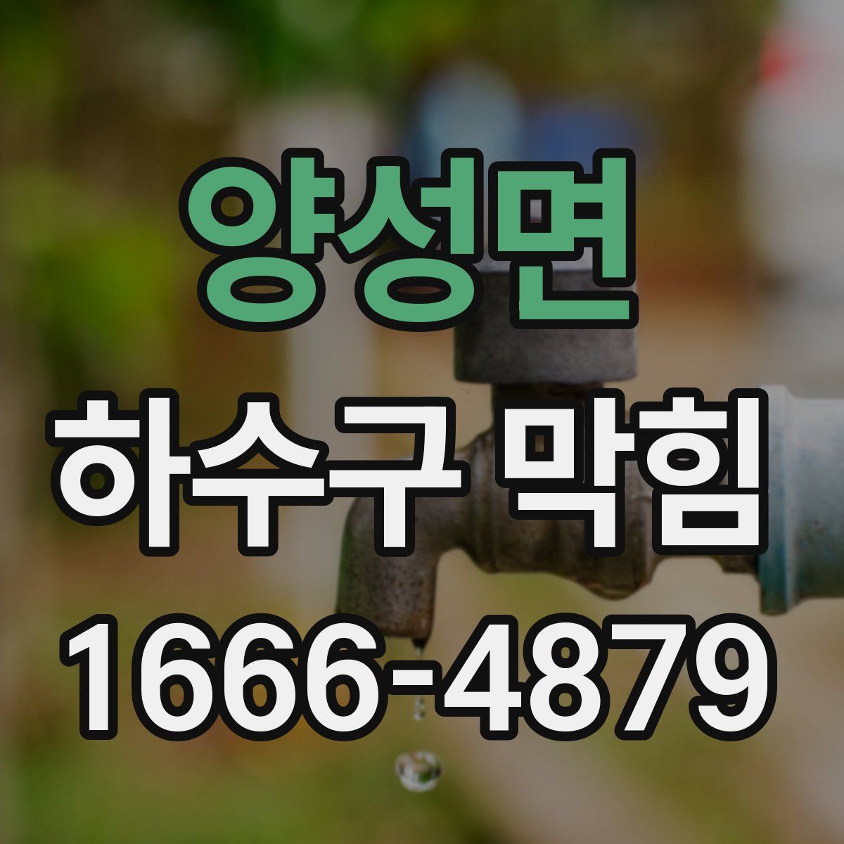 양성면 하수구 막힘