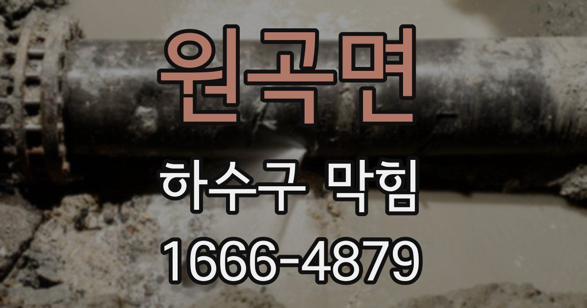 원곡면 하수구 막힘