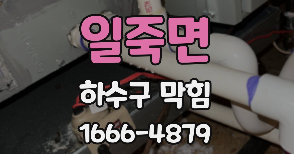 일죽면 하수구 막힘