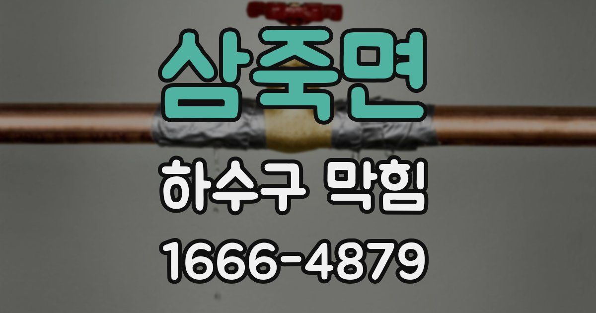 삼죽면 하수구 막힘