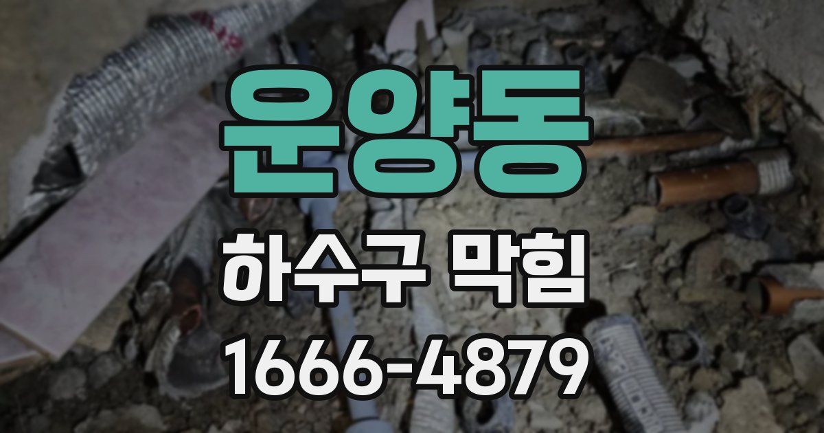 운양동 하수구 막힘