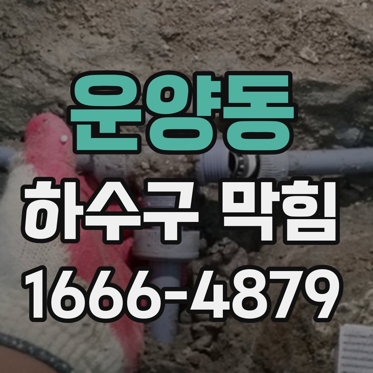 운양동 하수구 막힘