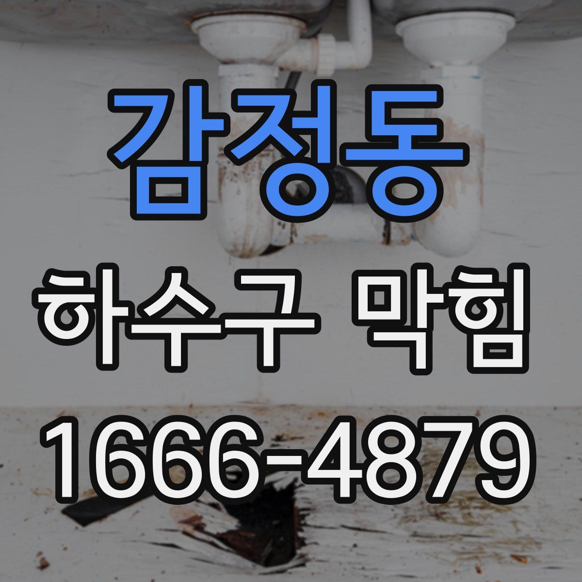 감정동 하수구 막힘