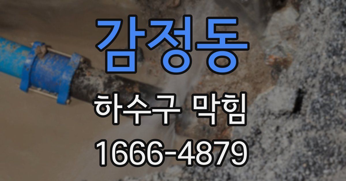 감정동 하수구 막힘