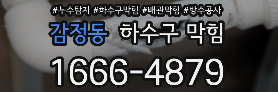 감정동 하수구 막힘