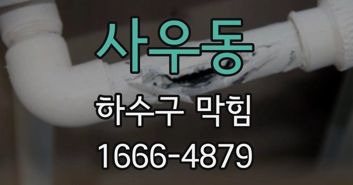 사우동 하수구 막힘