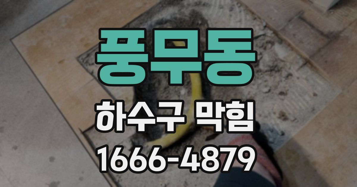 풍무동 하수구 막힘