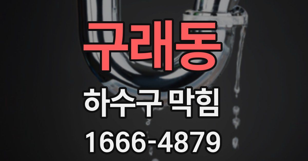 구래동 하수구 막힘