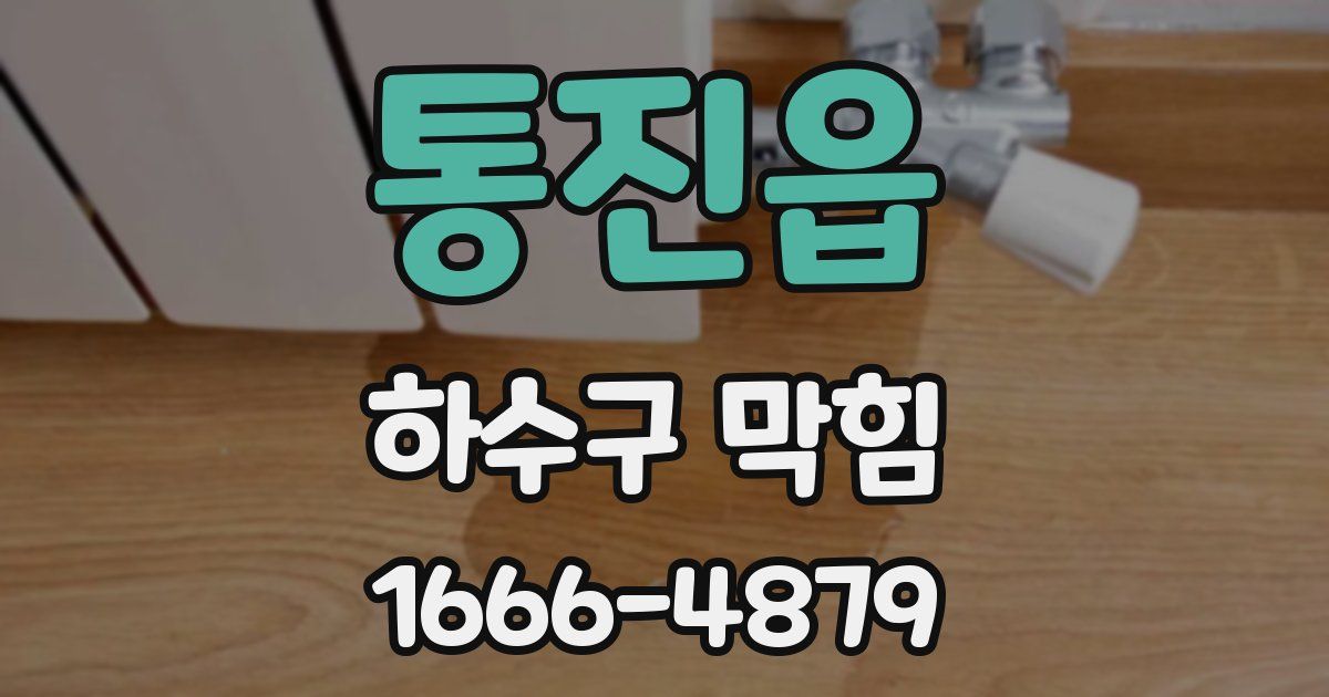 통진읍 하수구 막힘