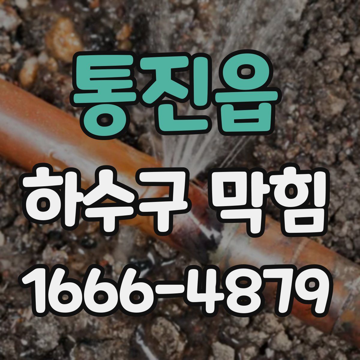 통진읍 하수구 막힘