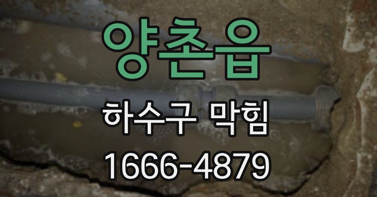 양촌읍 하수구 막힘