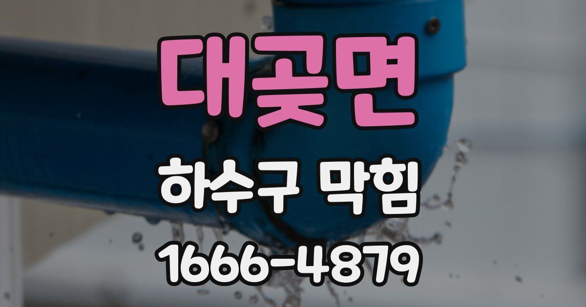 대곶면 하수구 막힘