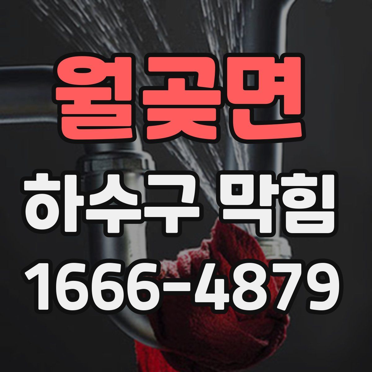 월곶면 하수구 막힘