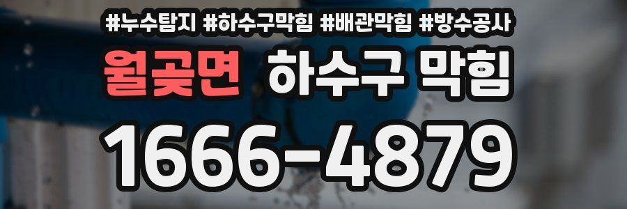 월곶면 하수구 막힘