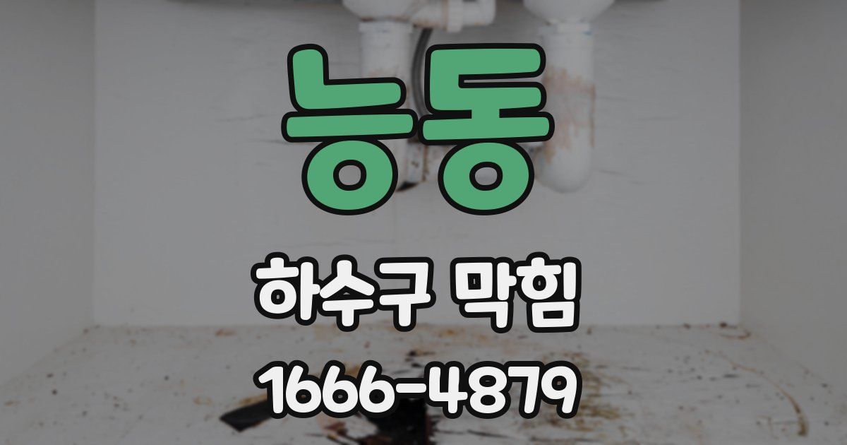 능동 하수구 막힘