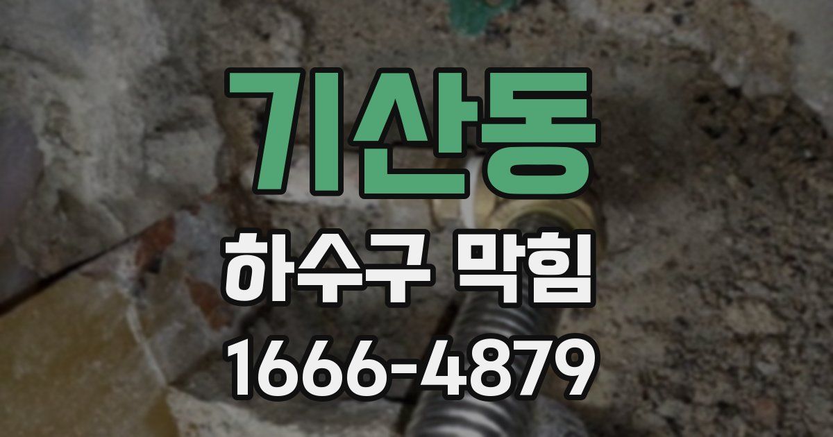 기산동 하수구 막힘