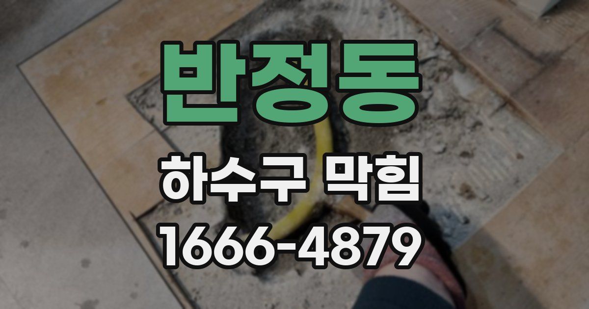 반정동 하수구 막힘