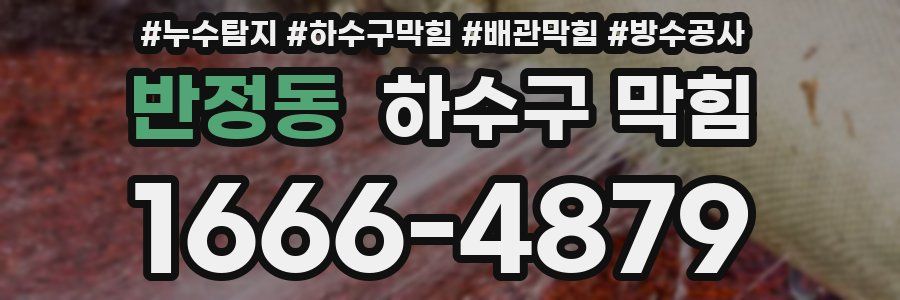 반정동 하수구 막힘