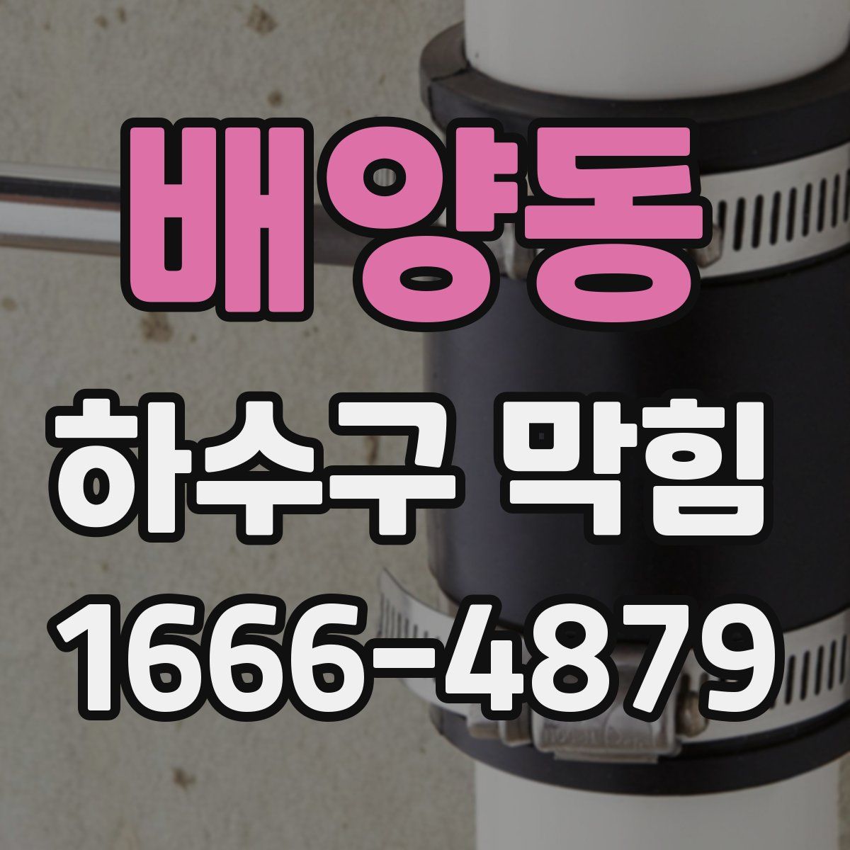 배양동 하수구 막힘