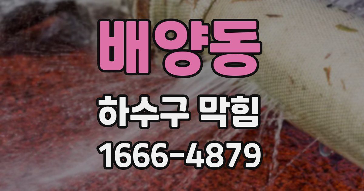 배양동 하수구 막힘