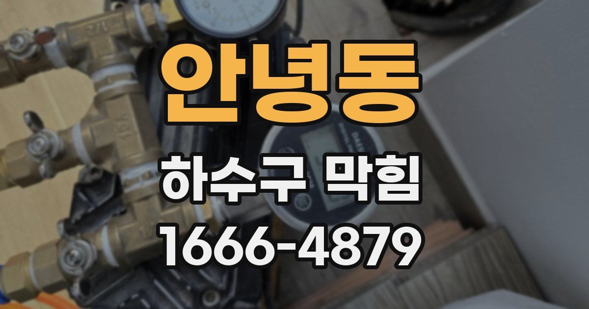 안녕동 하수구 막힘