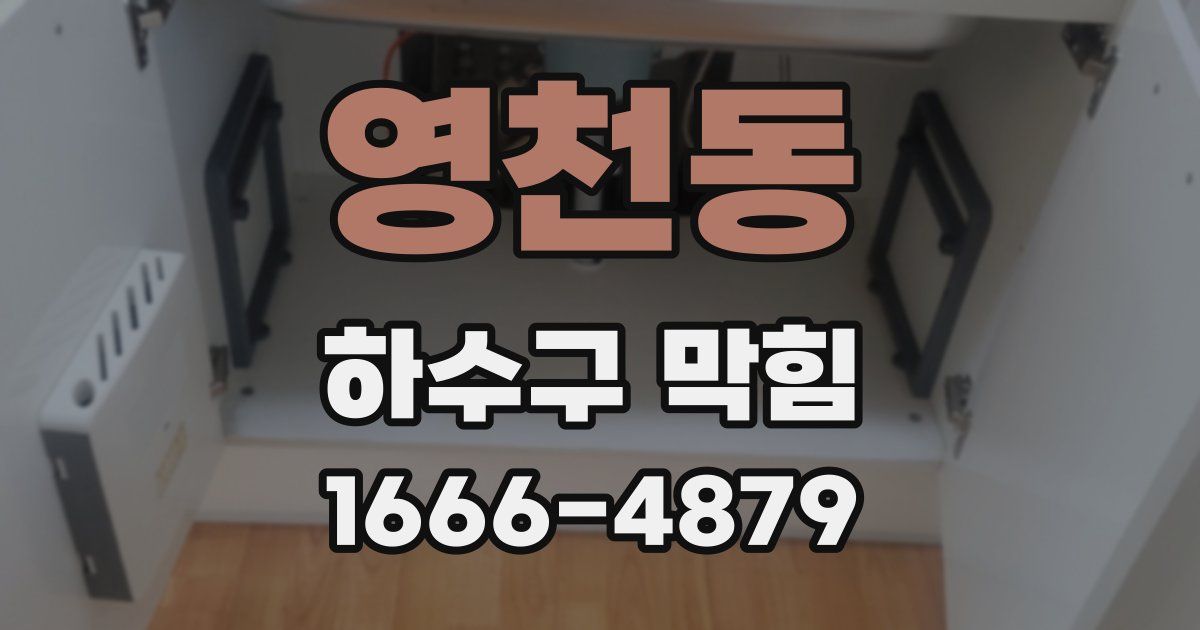 영천동 하수구 막힘
