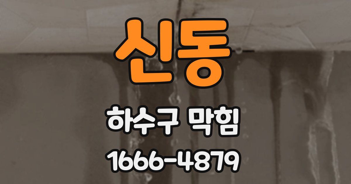 신동 하수구 막힘