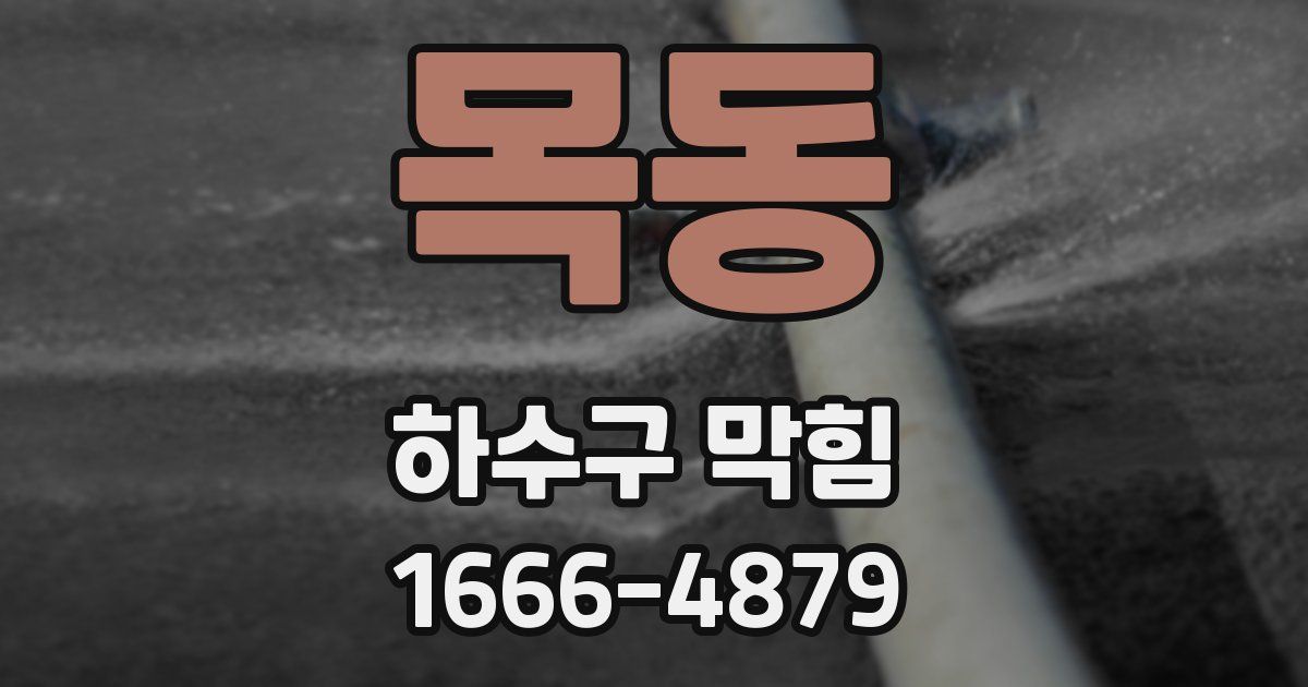 목동 하수구 막힘