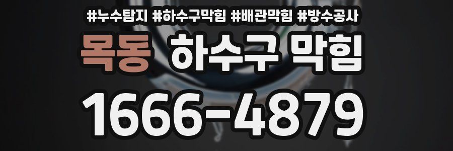 목동 하수구 막힘