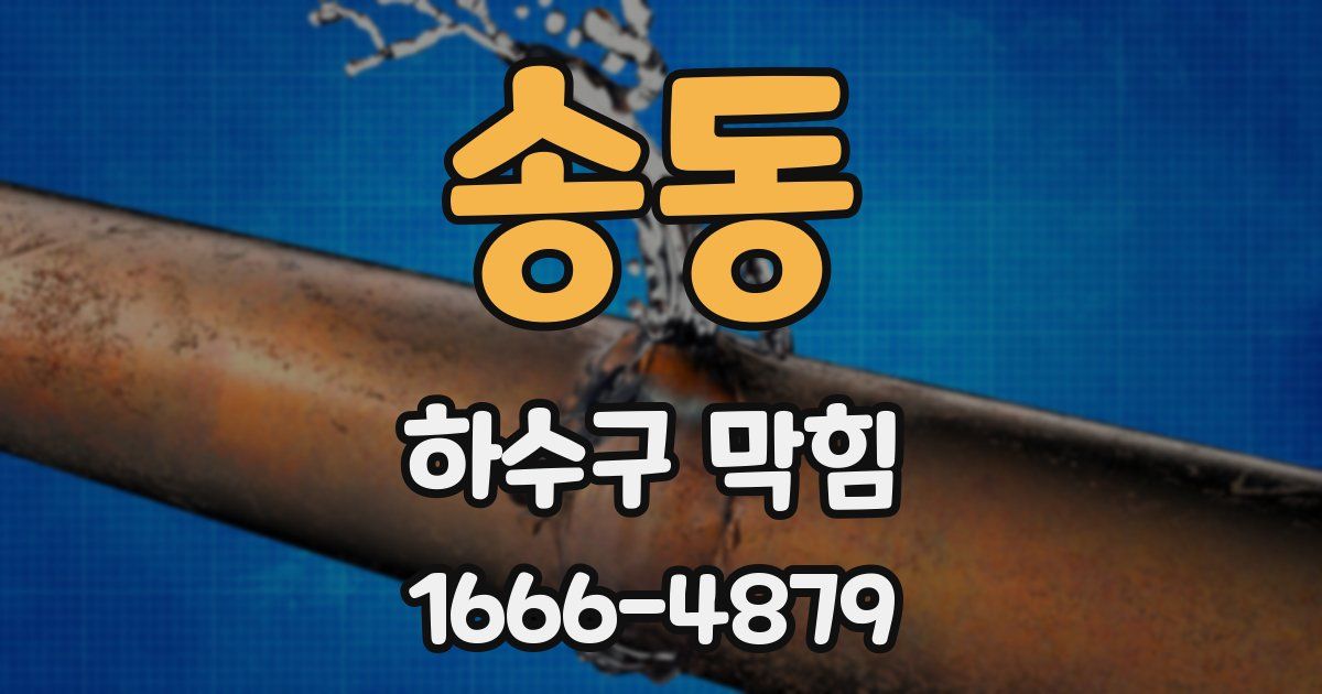 송동 하수구 막힘