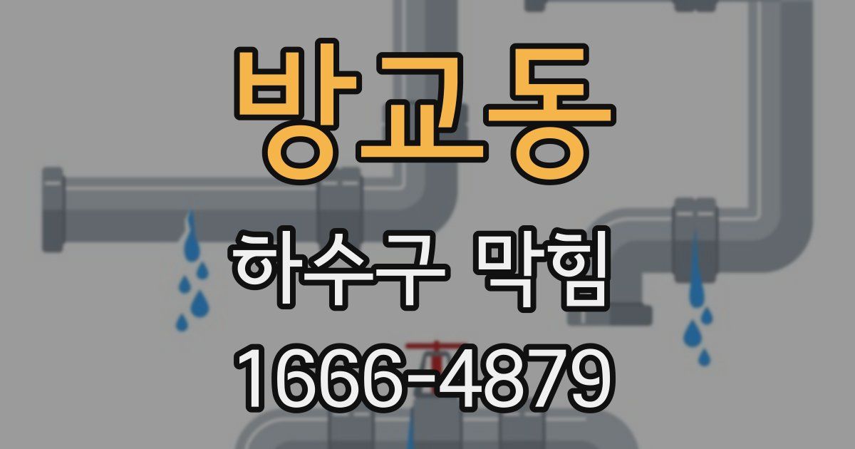 방교동 하수구 막힘