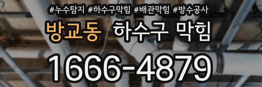 방교동 하수구 막힘