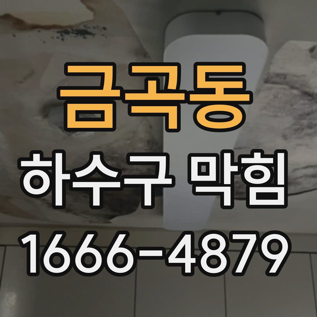 금곡동 하수구 막힘