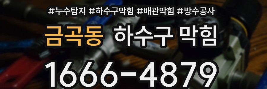 금곡동 하수구 막힘