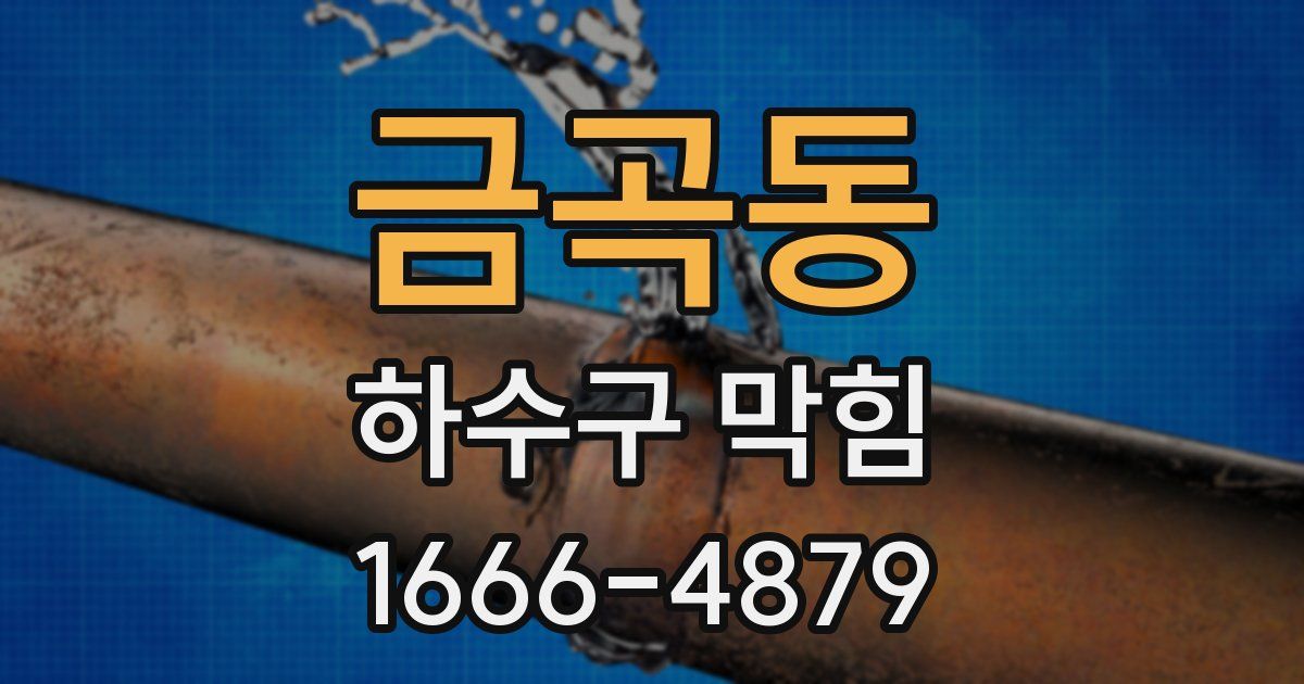 금곡동 하수구 막힘