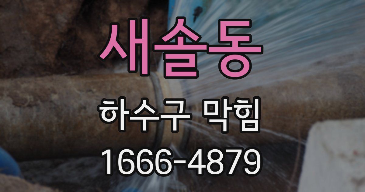 새솔동 하수구 막힘