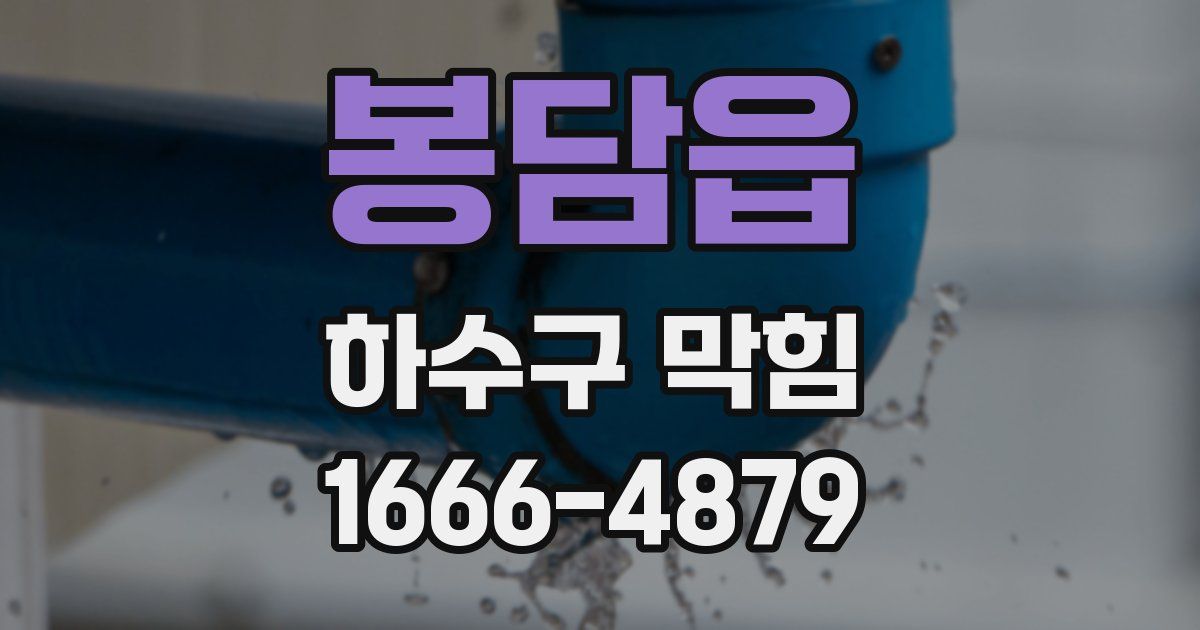 봉담읍 하수구 막힘