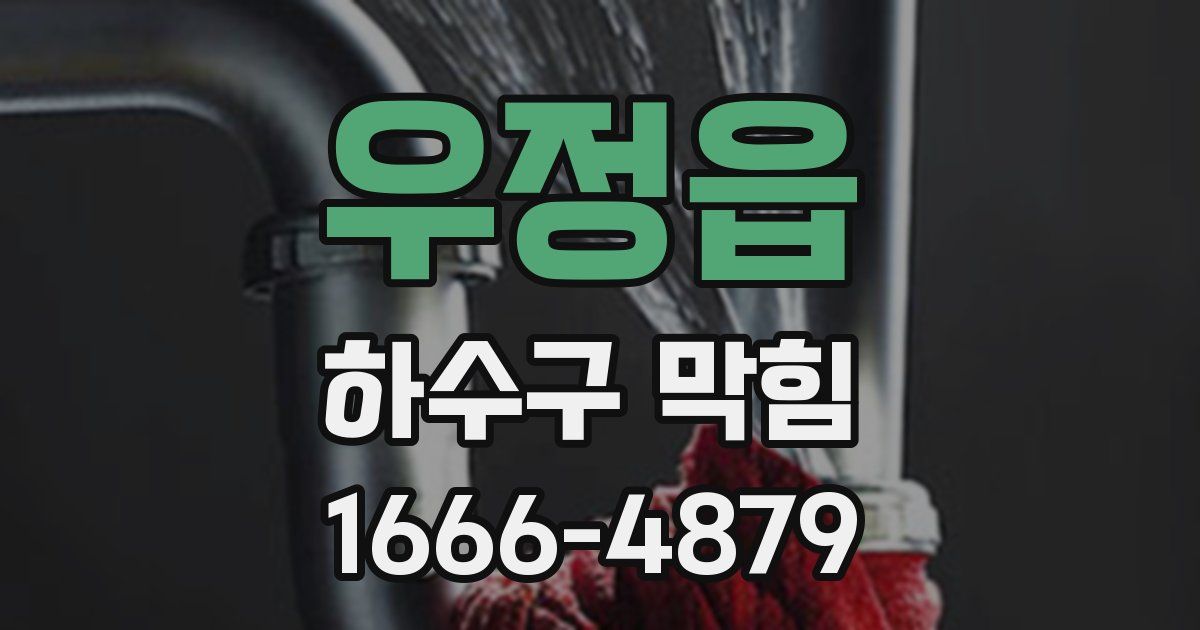 우정읍 하수구 막힘