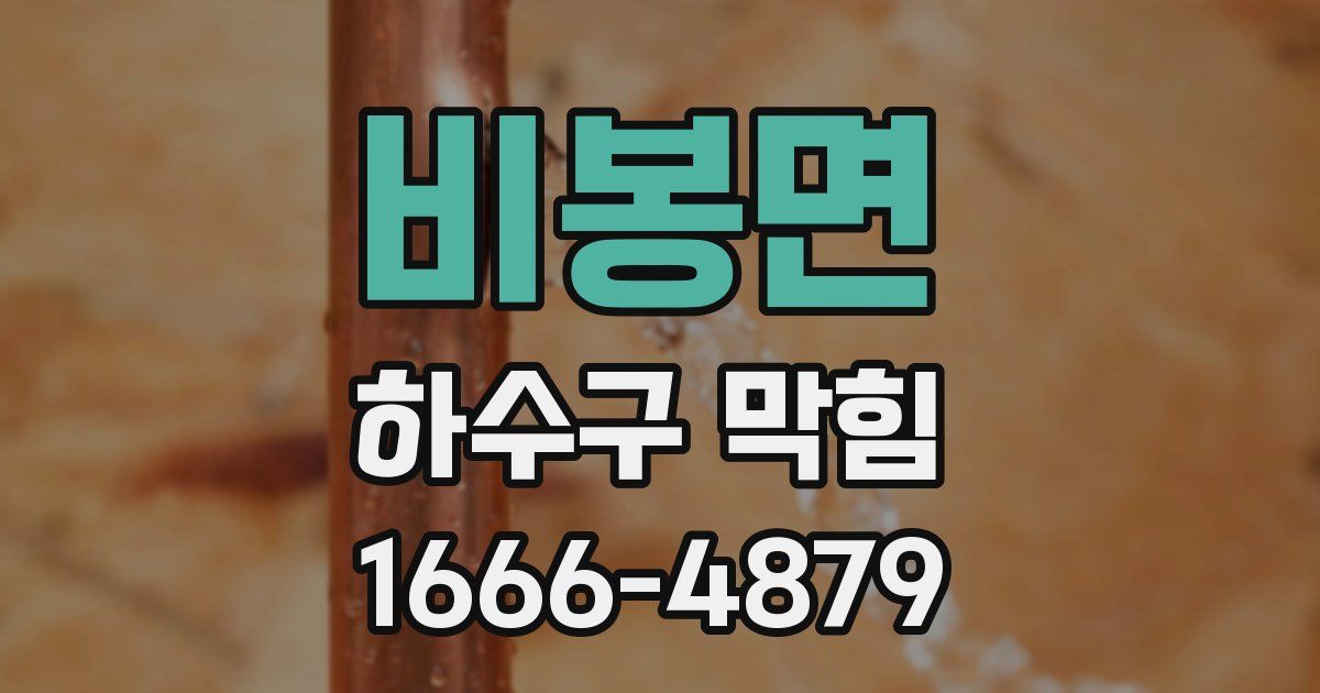 비봉면 하수구 막힘