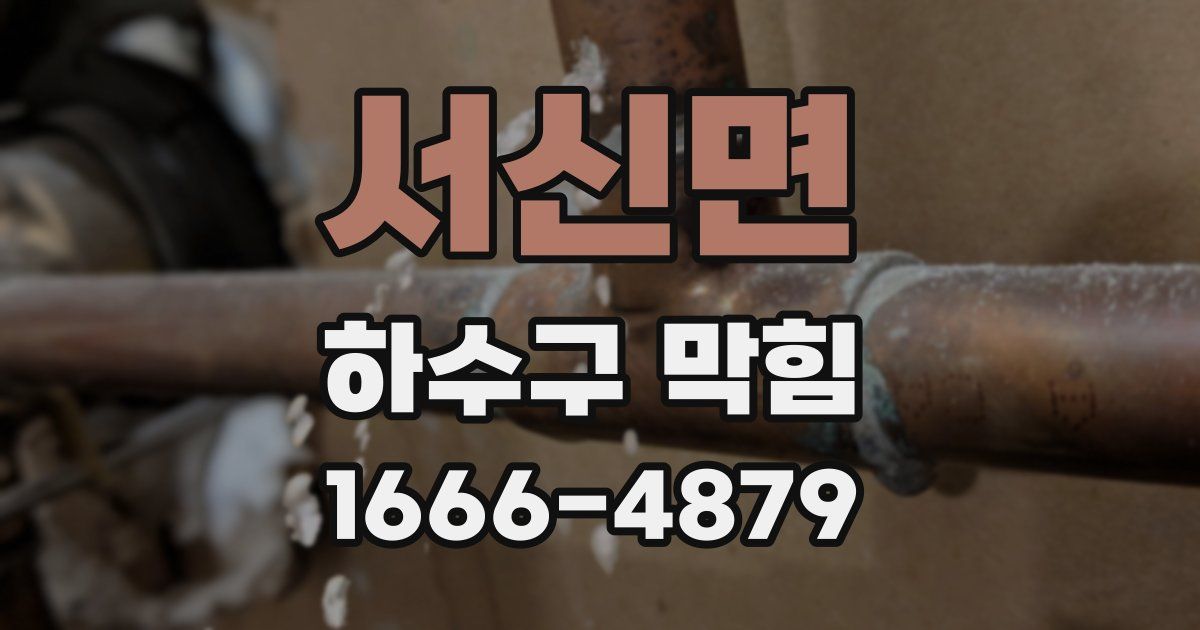 서신면 하수구 막힘