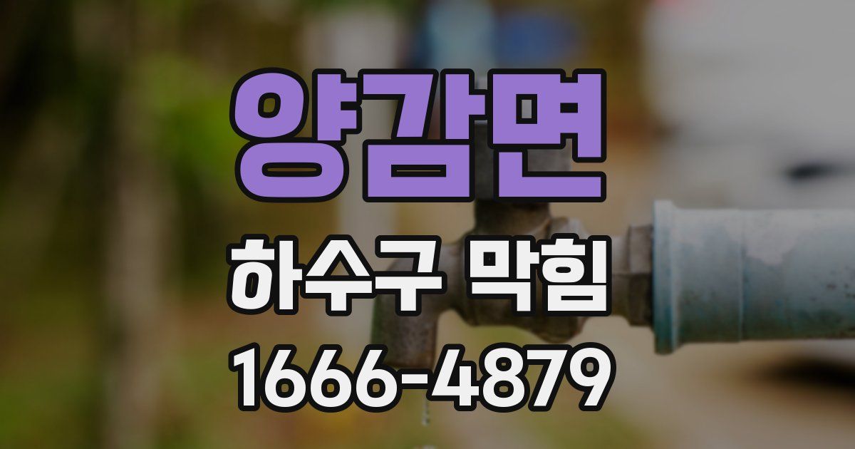 양감면 하수구 막힘